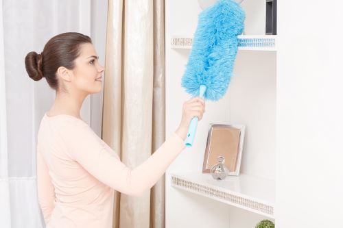 Apartment Cleaning in Flushing, New York
